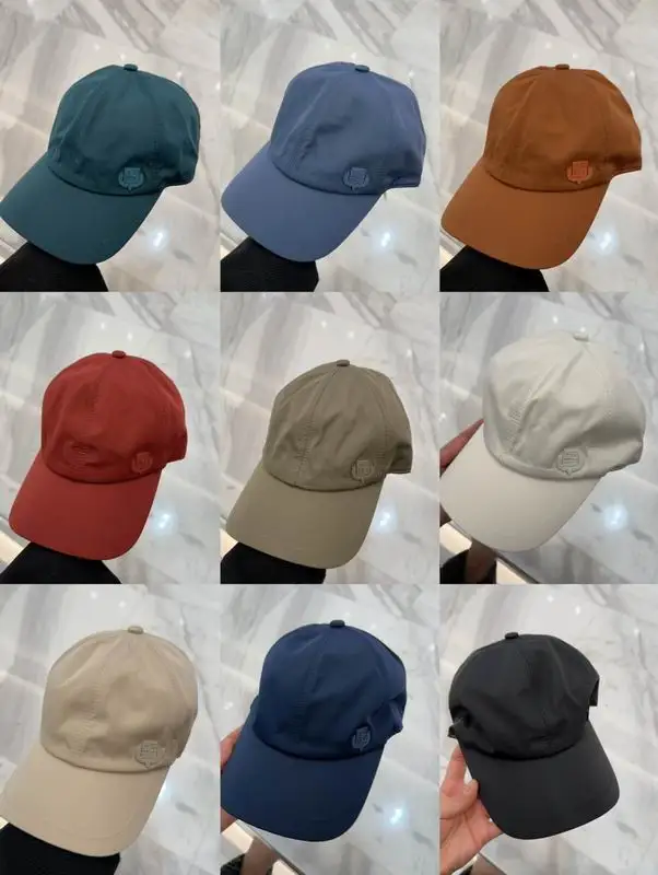 Loro Piana cap dx25